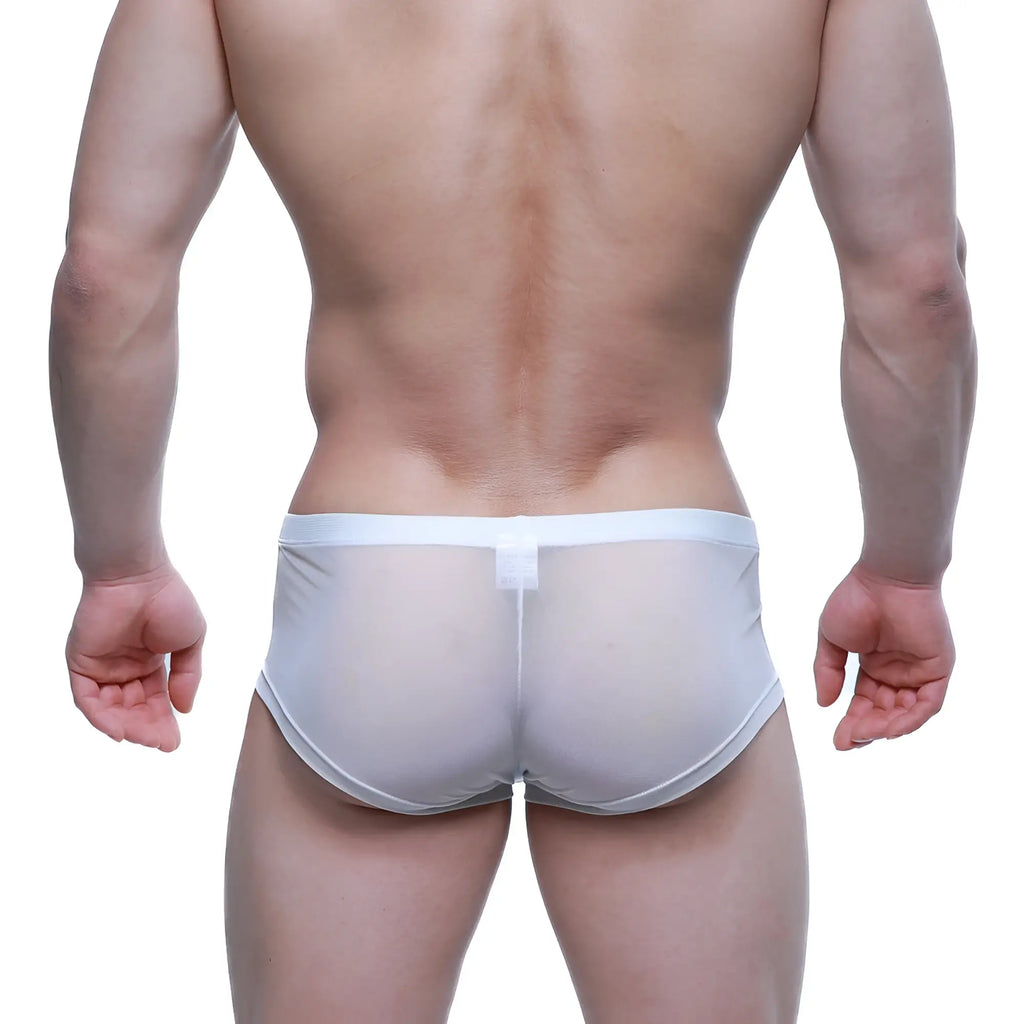 White sheer mesh briefs with solid white waistband from metromalewear tull blanco trunk 2125-68