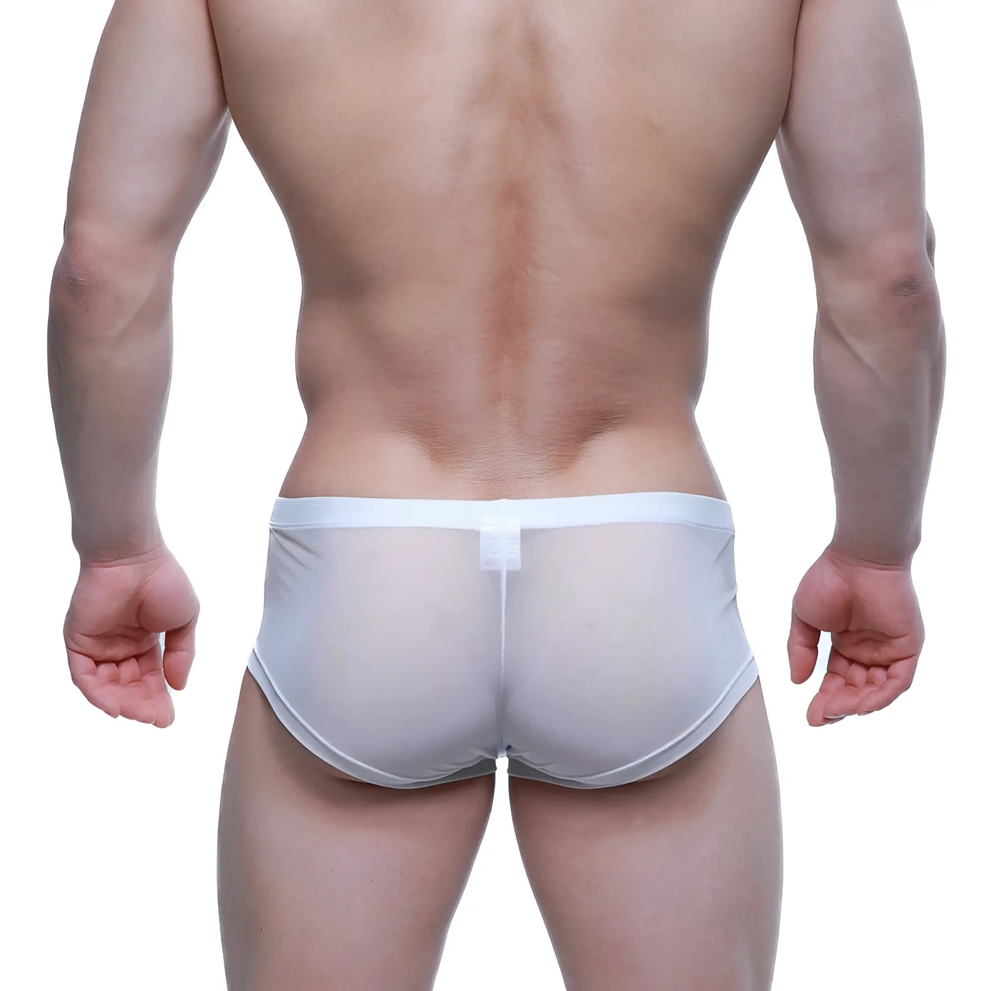 White sheer mesh briefs with solid white waistband from metromalewear tull blanco trunk 2125-68