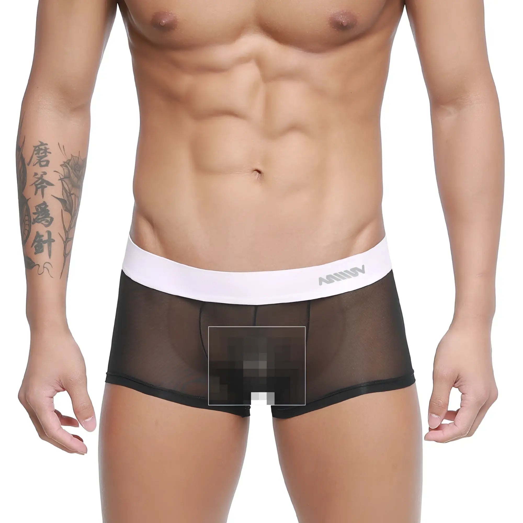 Black sheer mesh briefs with white elastic amuw waistband metroMalewear tull trunk 2026-19 front view