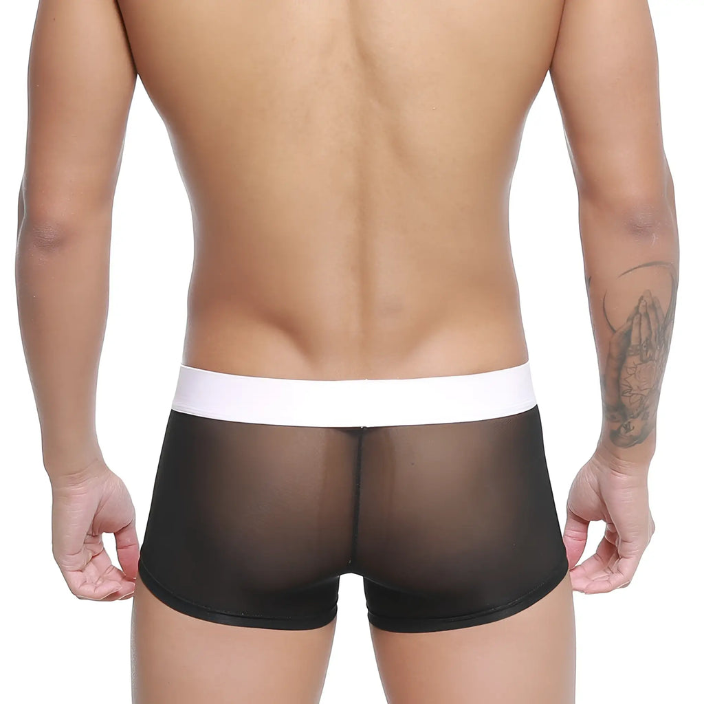MetroMaleWear Tull Trunk 2026-19 black sheer mesh briefs with white elastic waistband front view