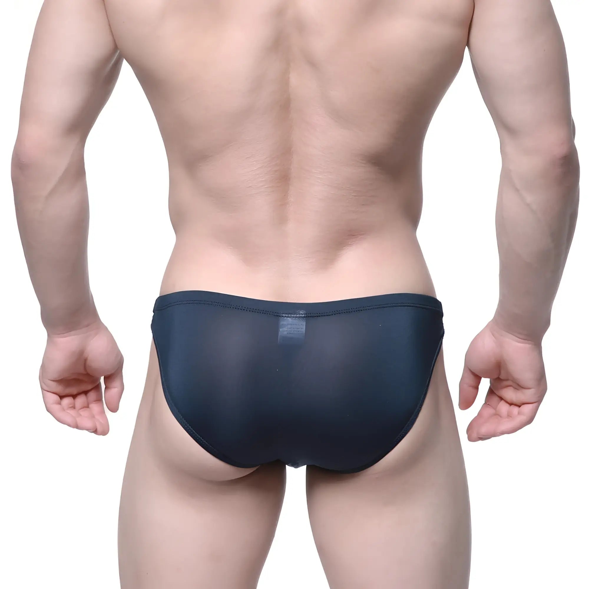 Dark navy sheer mesh briefs by MetroMaleWear Veus Bikini 3603-19 showing the back side of the product