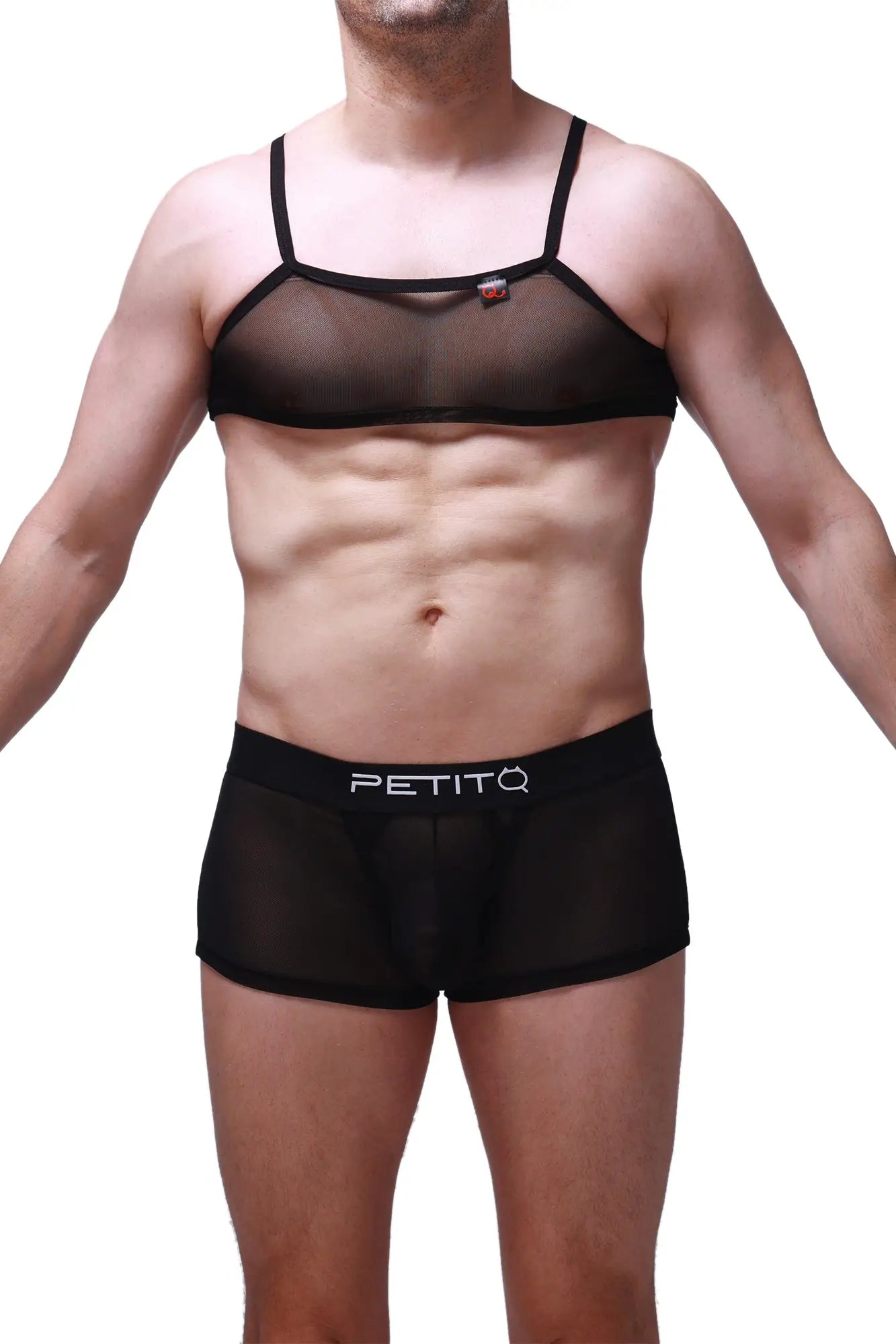 Black sheer mesh bra and matching briefs with petitq branding on waistband in micro tank net black style