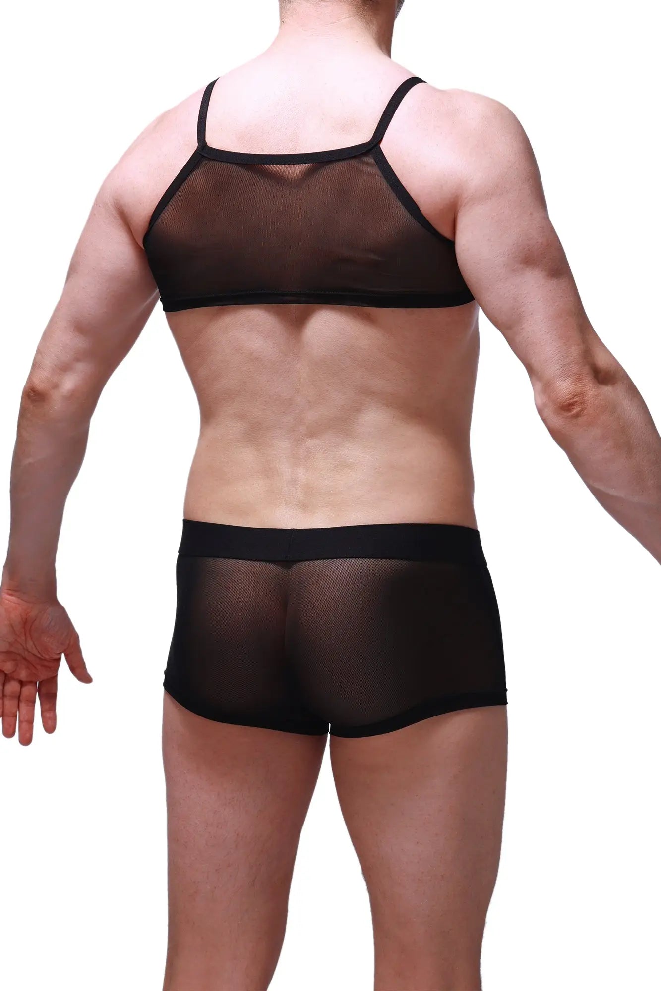 Black sheer mesh two-piece underwear set with black elastic trim featuring micro tank net design in black