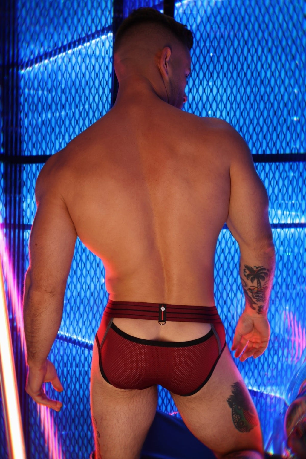 Breedwell Gay Men's Mister Luxe Brief