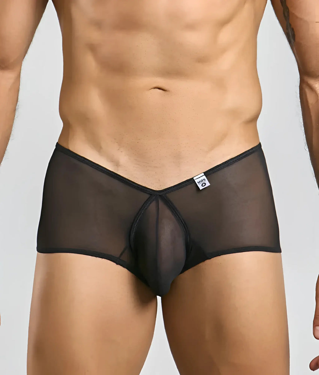 Black sheer mesh cheeky trunk briefs with solid black waistband and front panel from mob loop