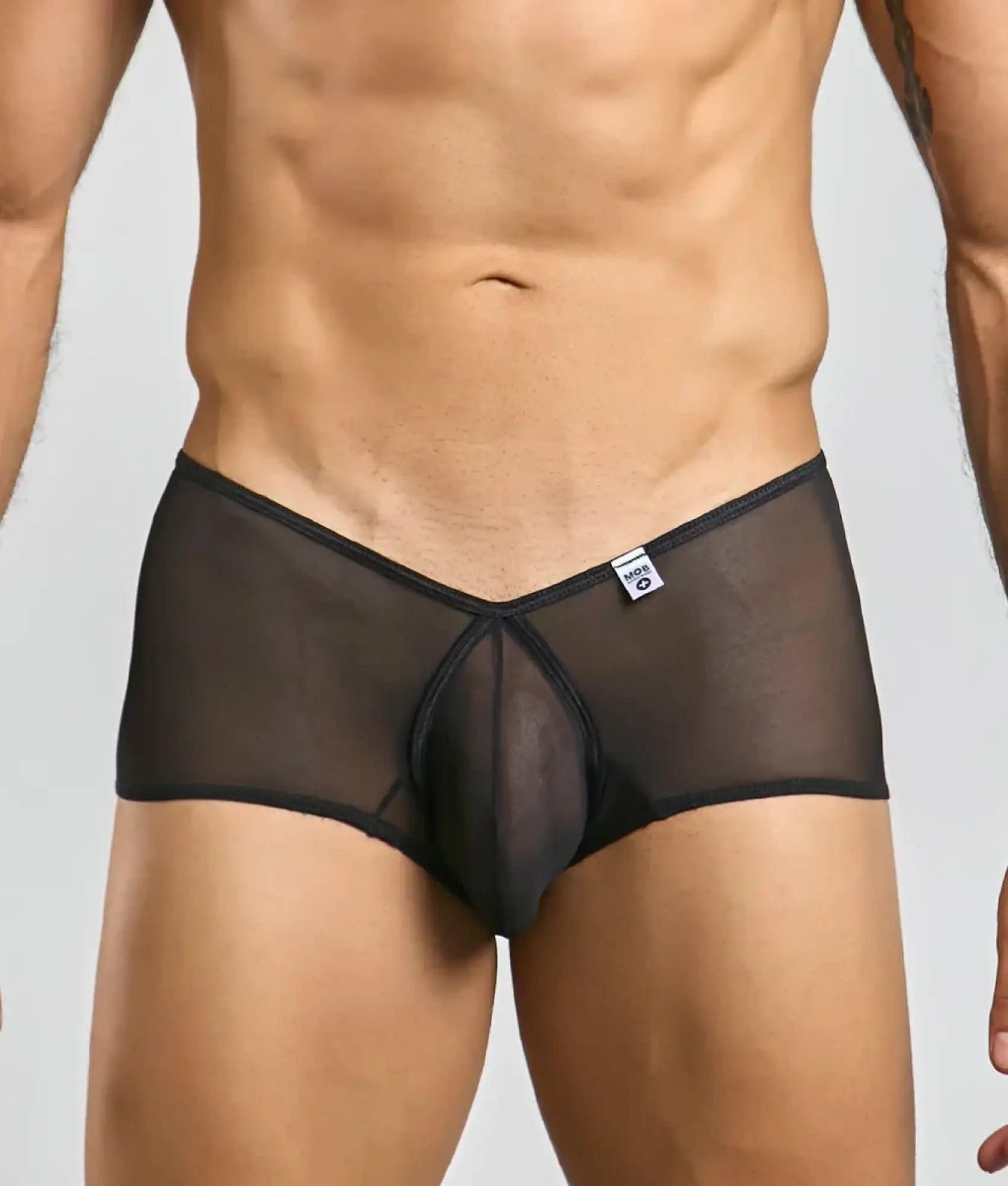 Black sheer mesh cheeky trunk briefs with solid black waistband and front panel from mob loop