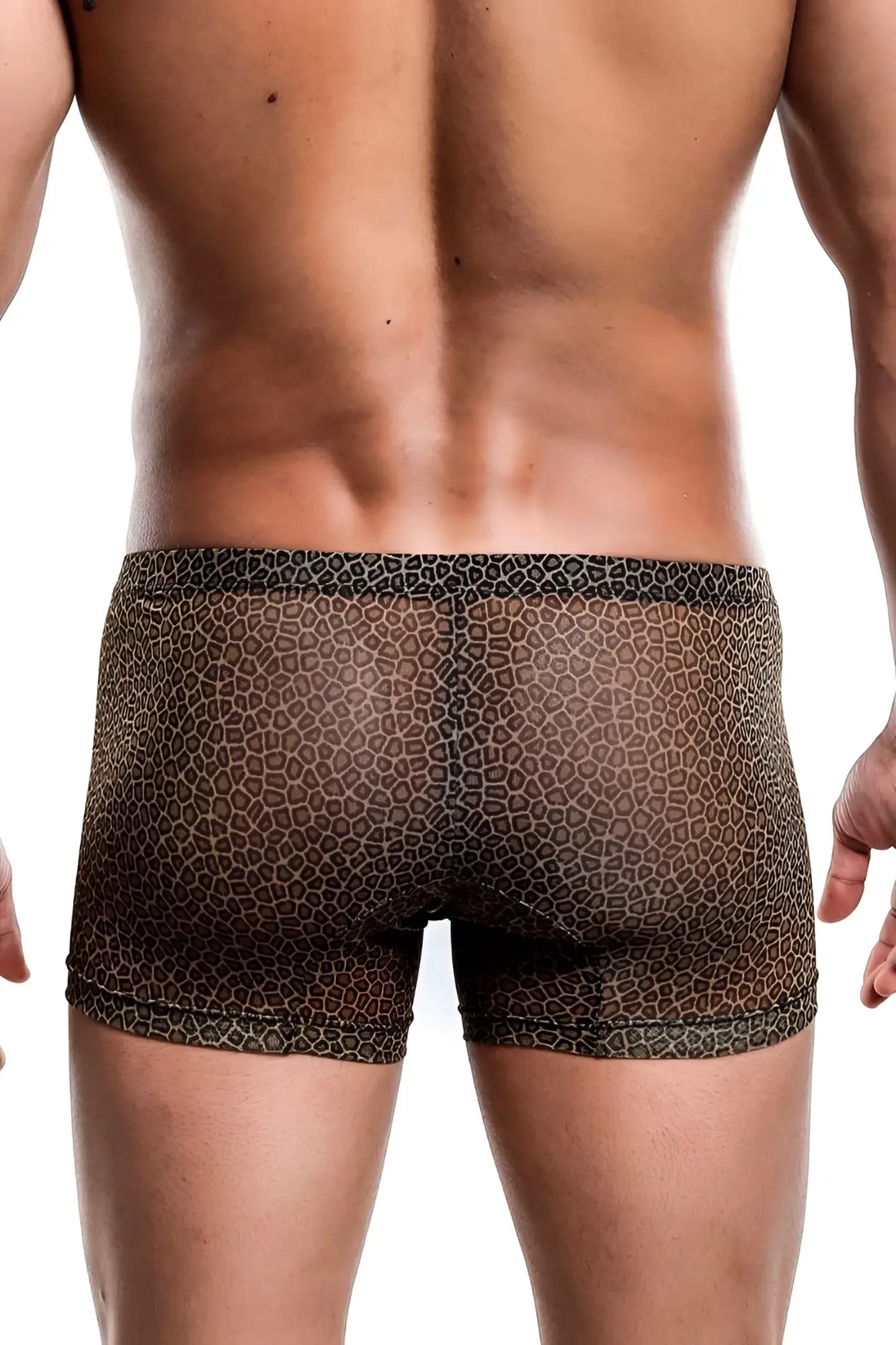 Mob men’s boxer tull pouch print brown leopard-print mesh briefs with breathable lightweight fabric