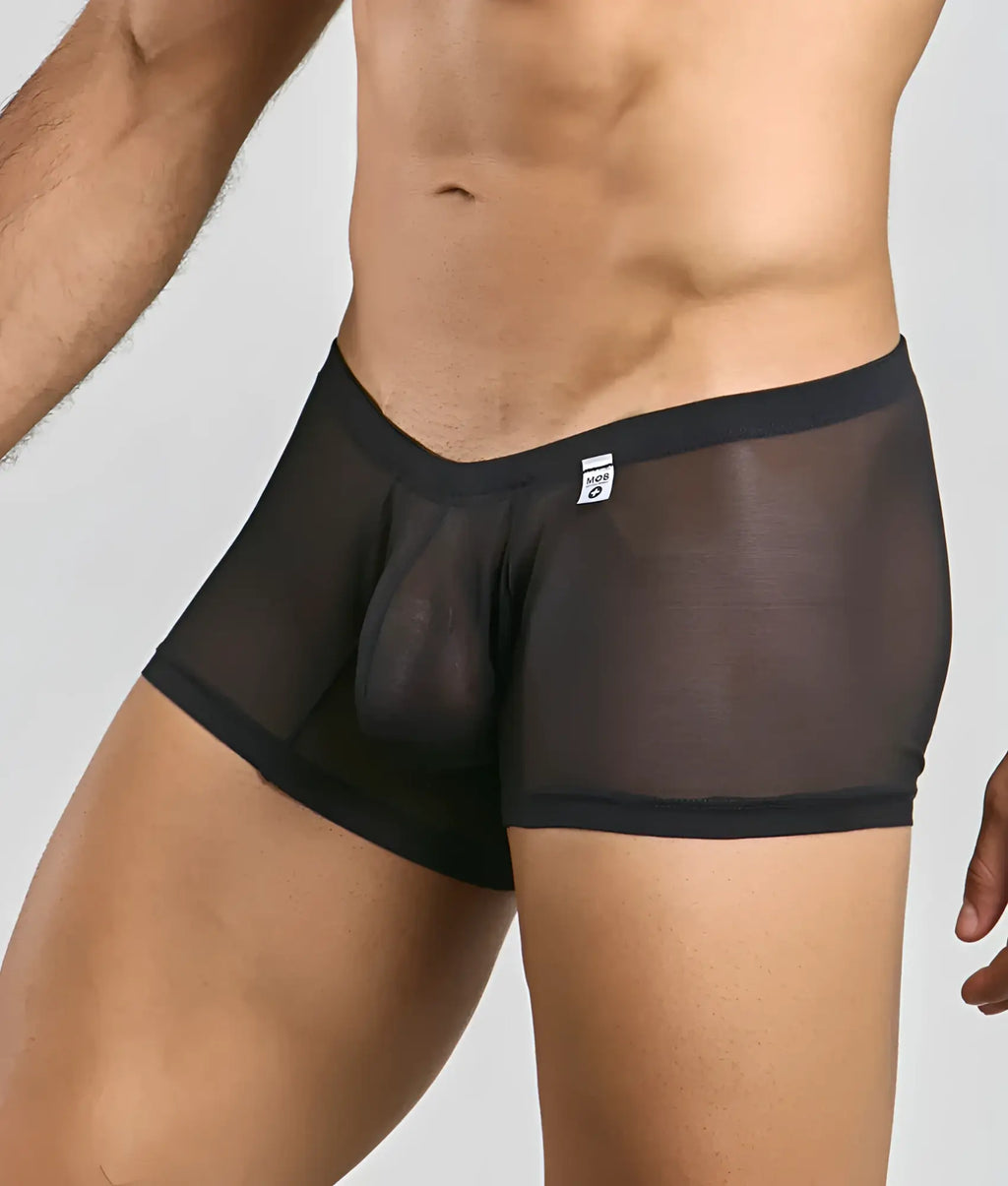 Mob men’s lace boxer black sheer mesh briefs with solid waistband and leg openings front view