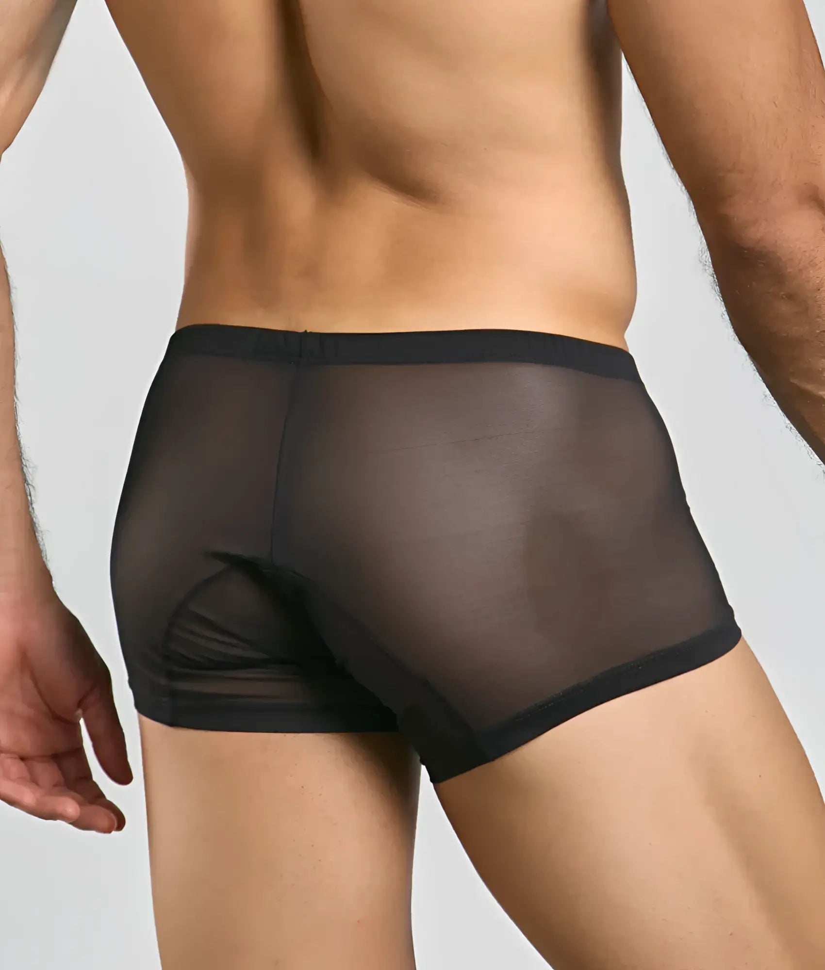 Mob mens lace boxer sheer black mesh briefs with solid black waistband and leg openings front view