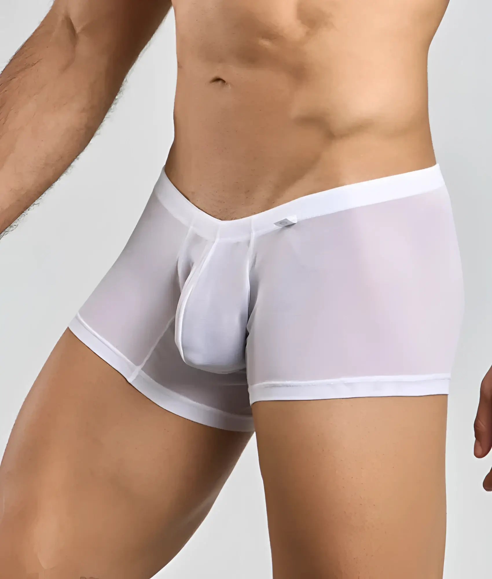 Mob men’s lace boxer white sheer briefs with solid white waistband and leg openings front view