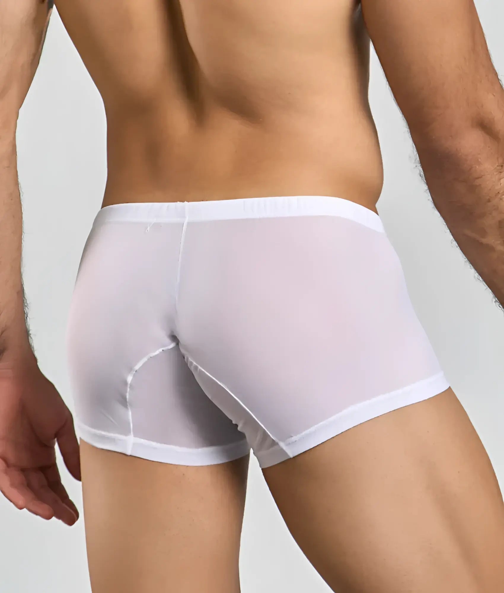 White sheer lace boxer briefs with solid white waistband and leg openings from mob men’s lace boxer collection