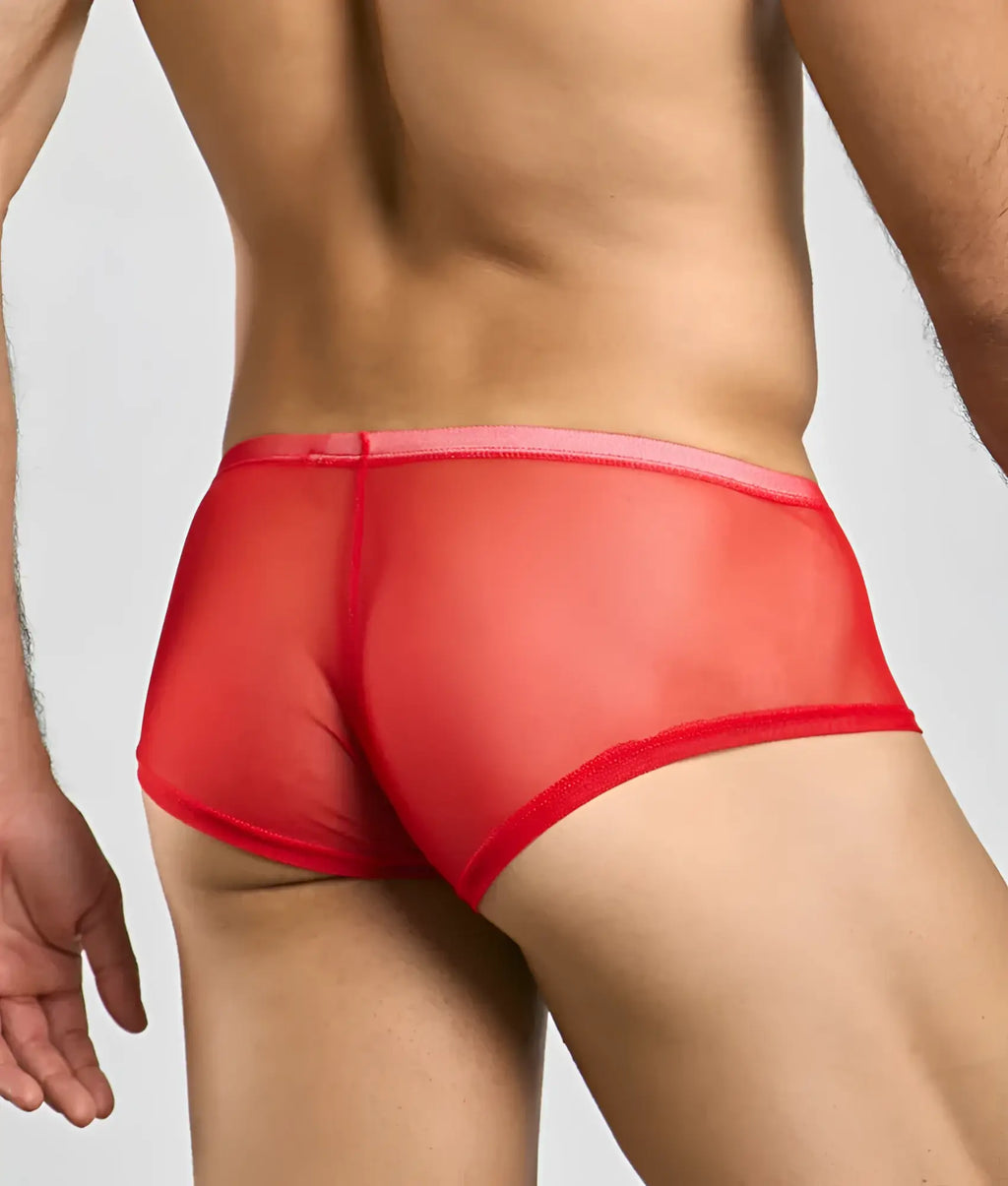 Mob men’s sexy sheer hip brief in red sheer mesh with pink waistband showing front view