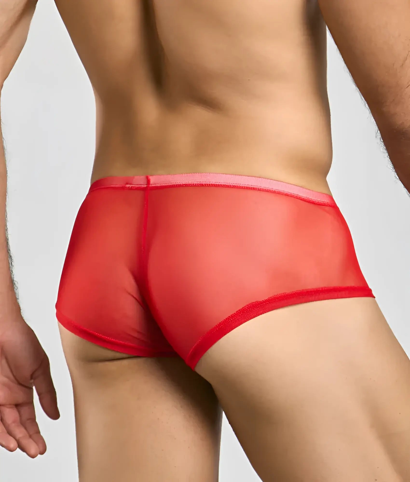 Mob men’s sexy sheer hip brief in red sheer mesh with pink waistband showing front view