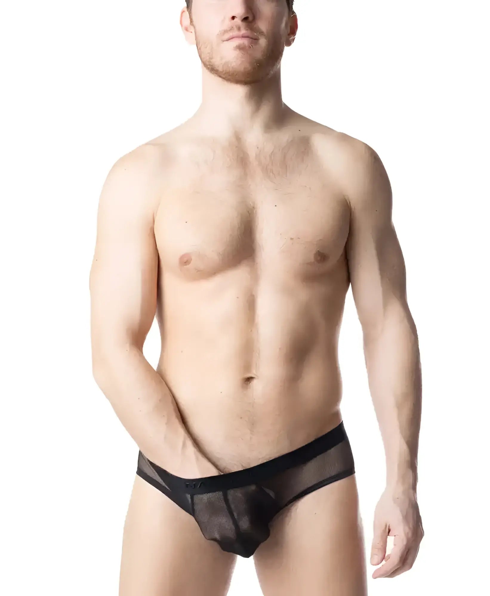 Black sheer mesh blur bikini brief with solid black waistband shown from the back side