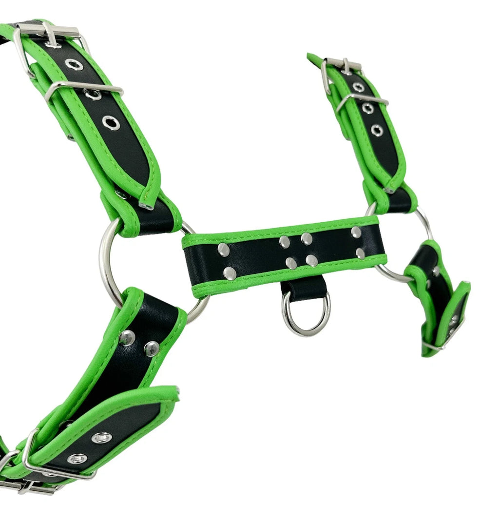 BULLDOG HARNESS W/ PIPING