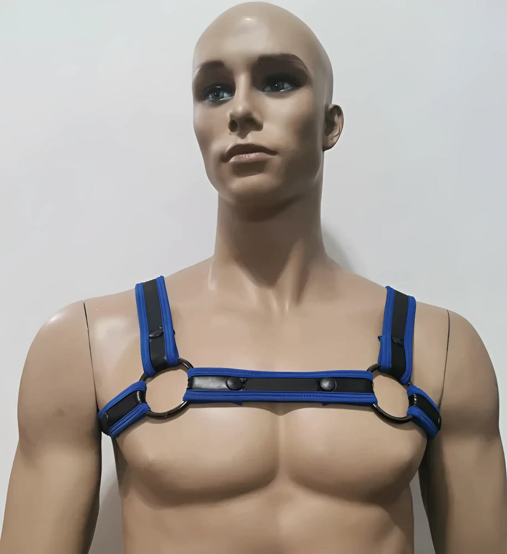 Blue and black neoprene bulldog harness with adjustable straps and metal rings for secure dog control