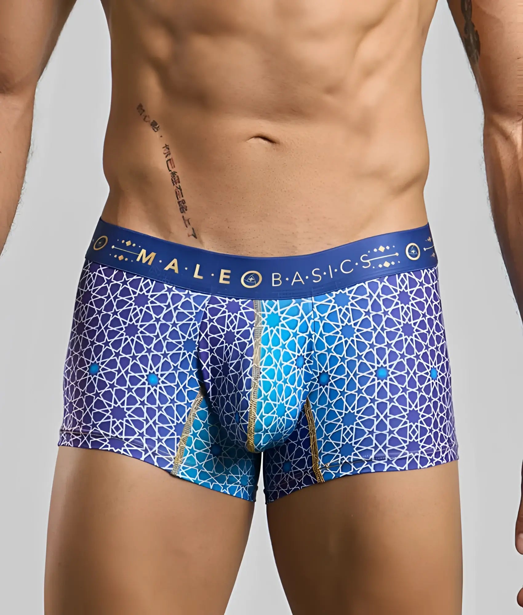 New malebasics trunk hipster men’s boxer briefs in blue and purple geometric pattern with male basic waistband