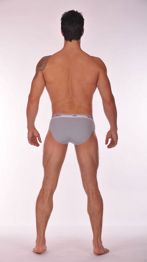Obviously Pouch Brief Full Cut Unterwäsche Hellgrau PBR Größe S
