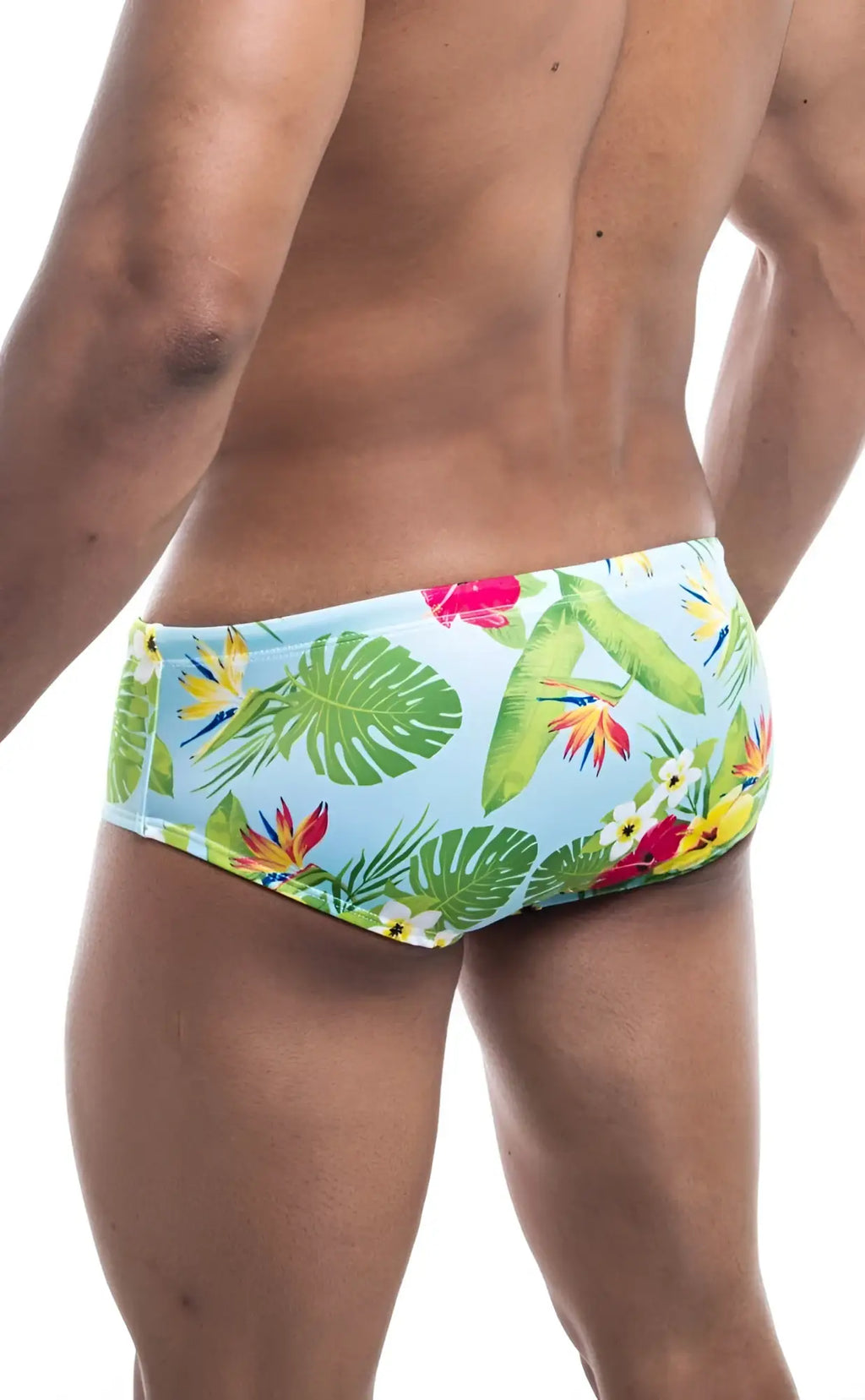 Oceanico swim brief in light blue with green monstera leaves red and yellow bird of paradise and white frangipani flowers