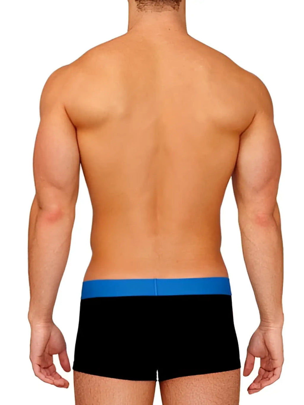 Papi brazilian trunk underwear black briefs with solid blue waistband size m front view