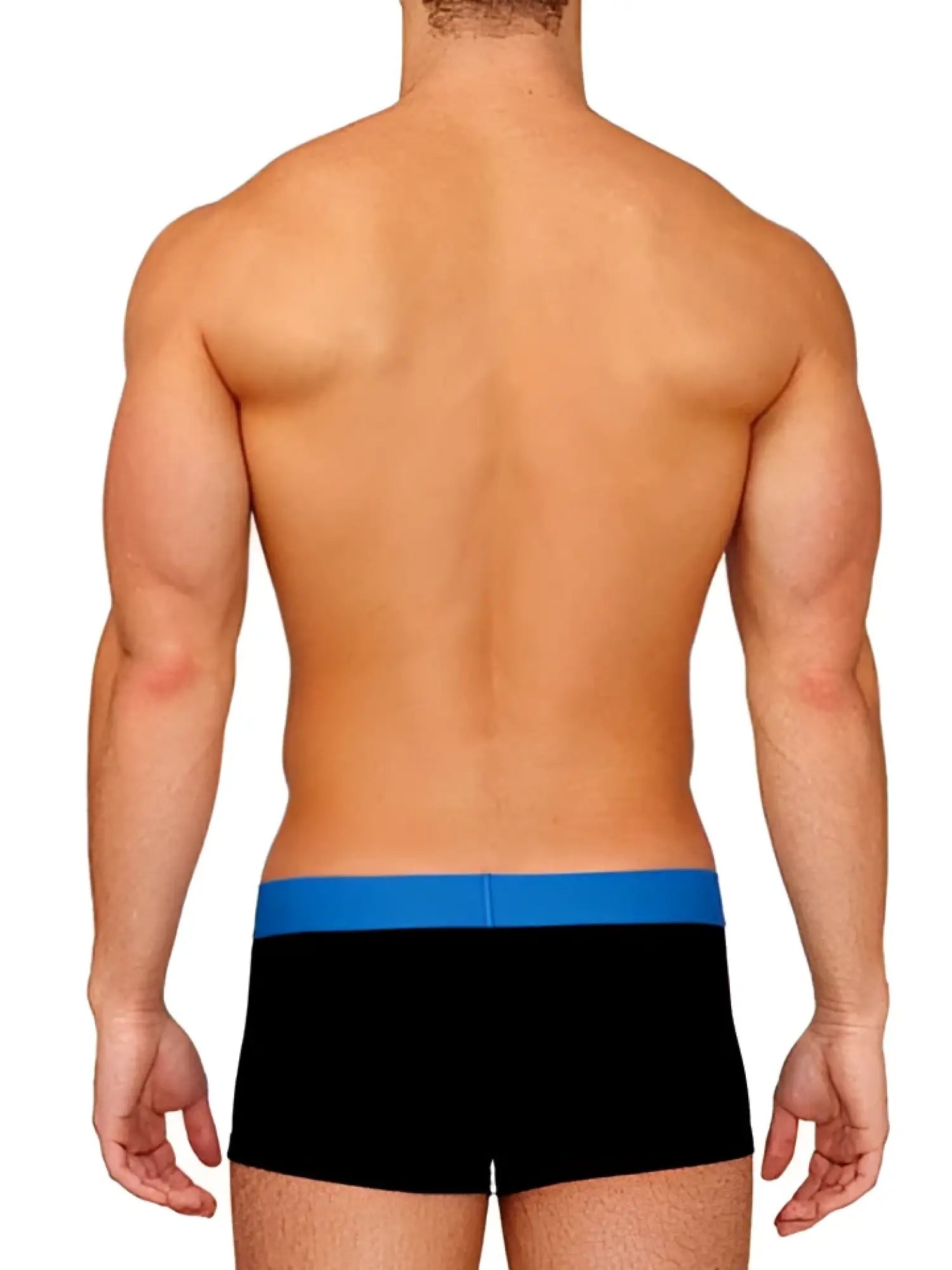 Papi brazilian trunk underwear black briefs with solid blue waistband size m front view