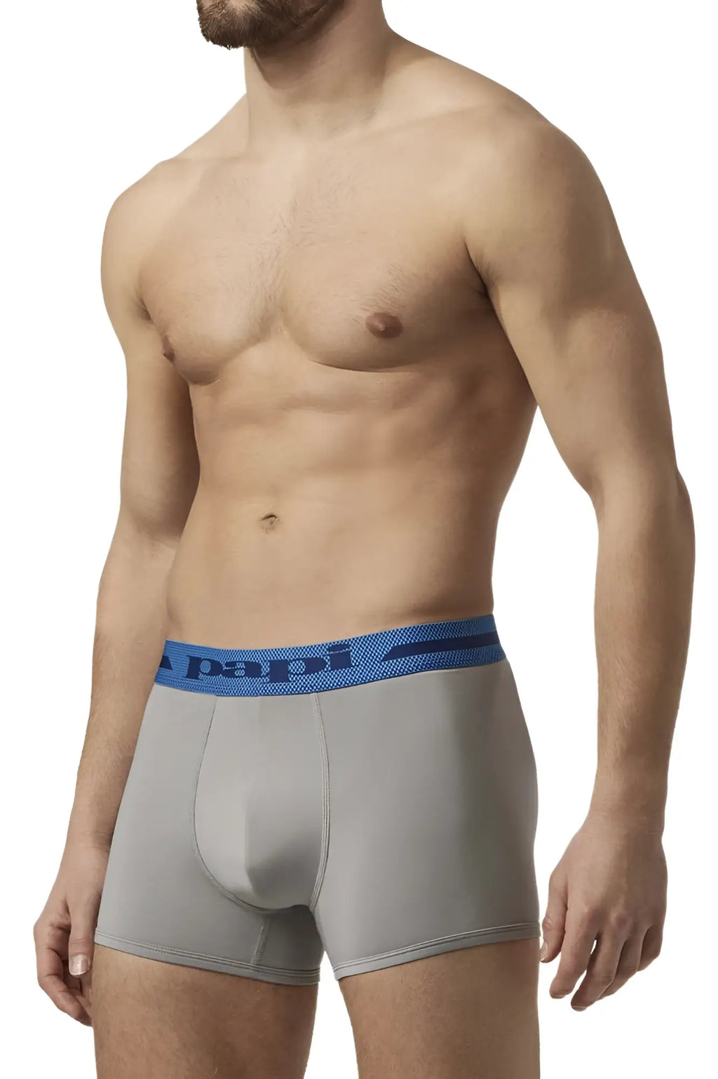 Gray papi microflex boxer briefs with blue elastic waistband and papi logo in alloy black color front view