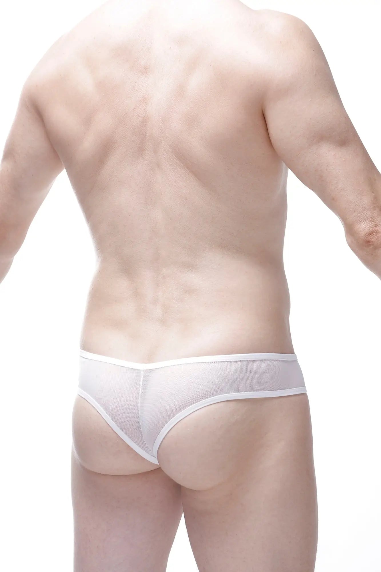 White sheer mesh briefs with thin white waistband from PetitQ bikini Bavent Kitty collection