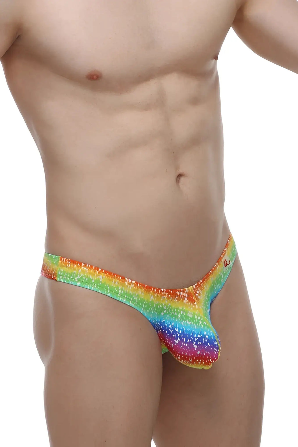 Petitq bikini capri rainbow rainbow sequined thong with glittery vibrant gradient design shown from the back