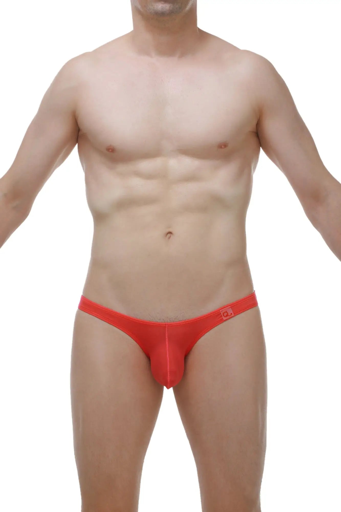 Petitq bikini dome plum crimson red form-fitting men’s briefs with smooth stretchy fabric and small waistband logo