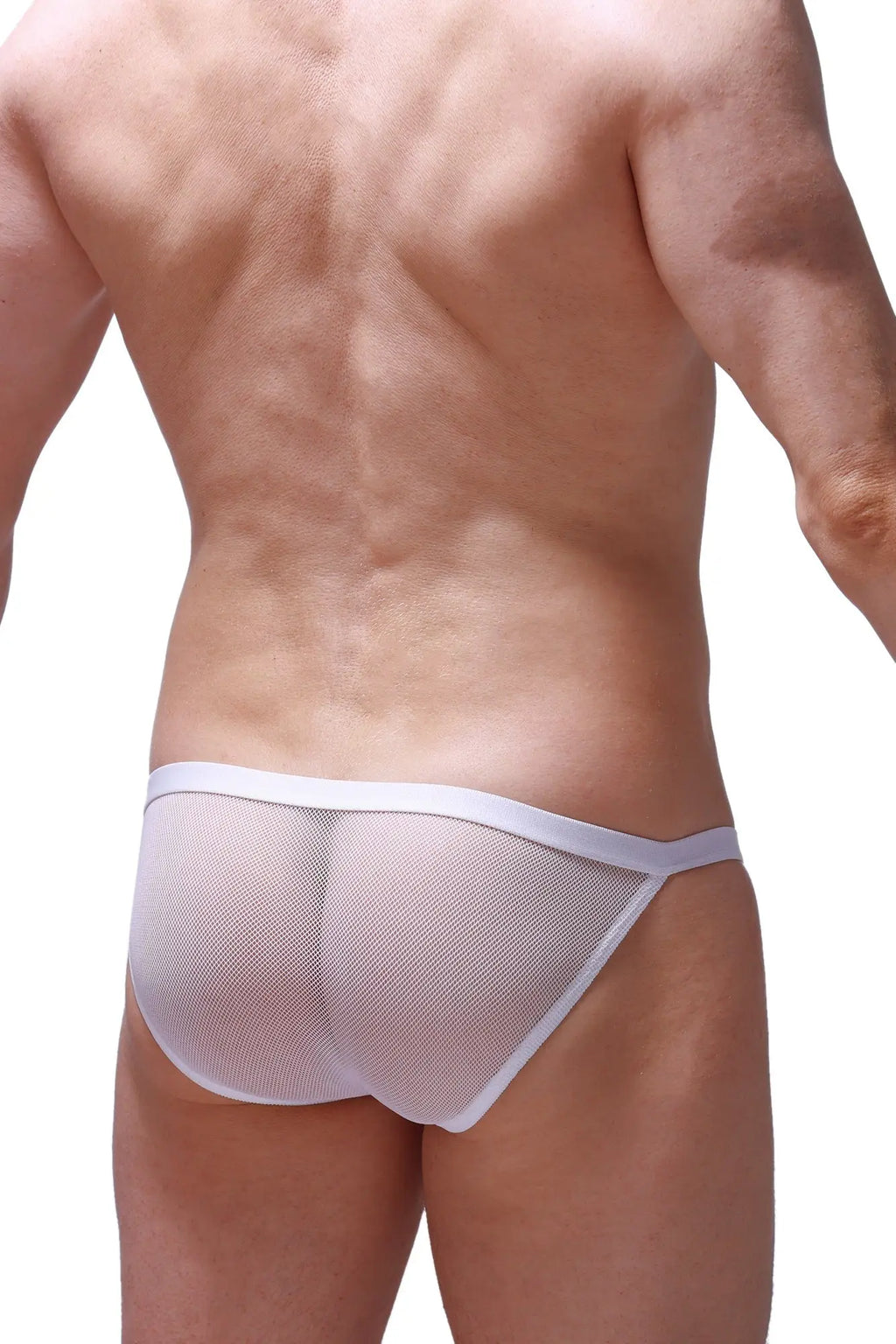 PetitQ bikini ladon white mesh briefs with solid white waistband front view