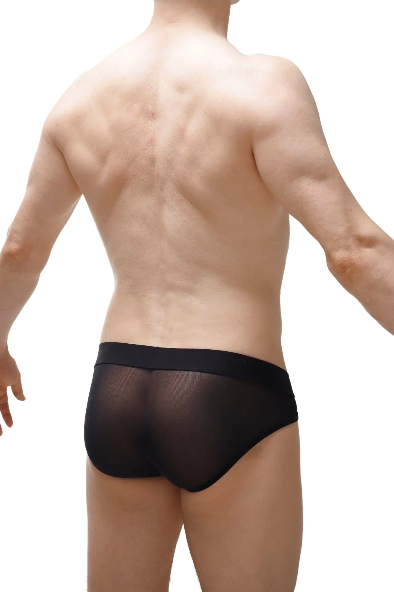 Black sheer mesh briefs with solid black waistband from petitq bikini lagny leopard rainbow collection