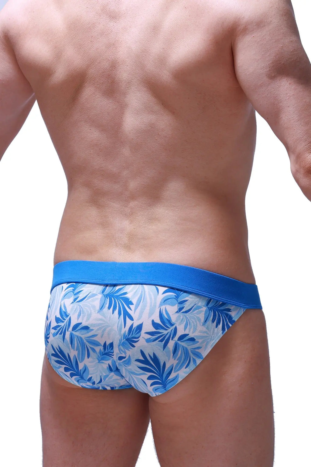 PetitQ bikini Linthes Maeha blue and white tropical leaf patterned swim trunks with solid blue waistband