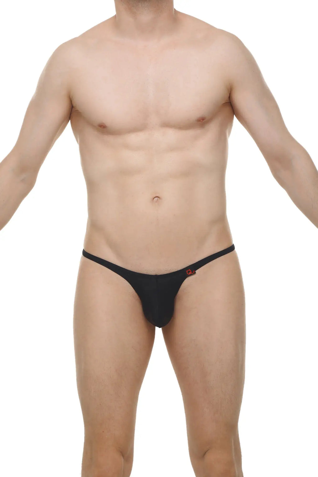 Black thong bikini plellis plum with a small red logo on the side showing the back view