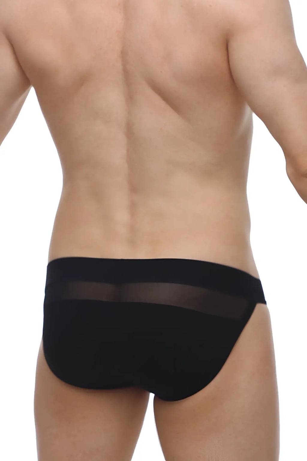 Black petitq bikini briefs with sheer mesh panel across the waistband front view