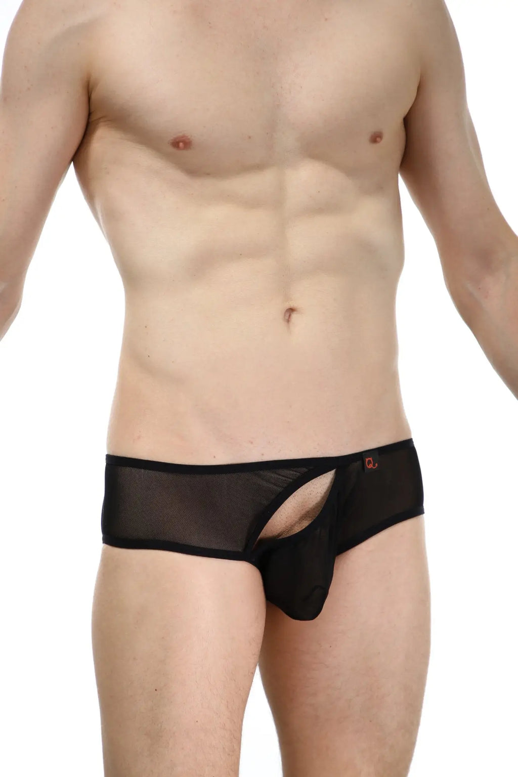 PetitQ bikini rift net black sheer mesh briefs with central cutout and black elastic waistband