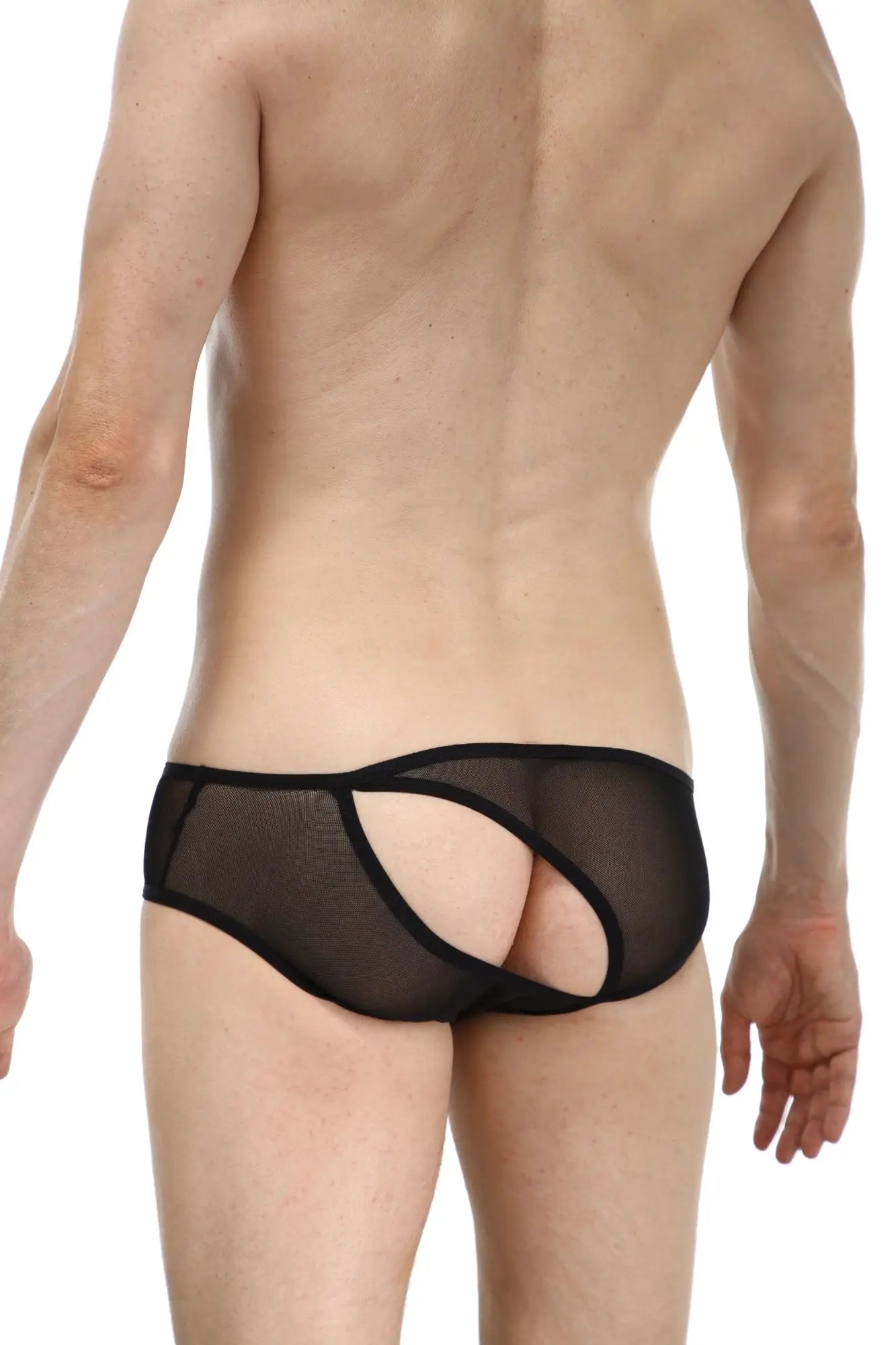 Black sheer mesh petitq bikini rift net briefs with cutout design showing the back side of the product