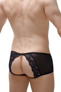 Black lace-trimmed sheer backless briefs showing the back side from PetitQ boxer brief Murol lace collection