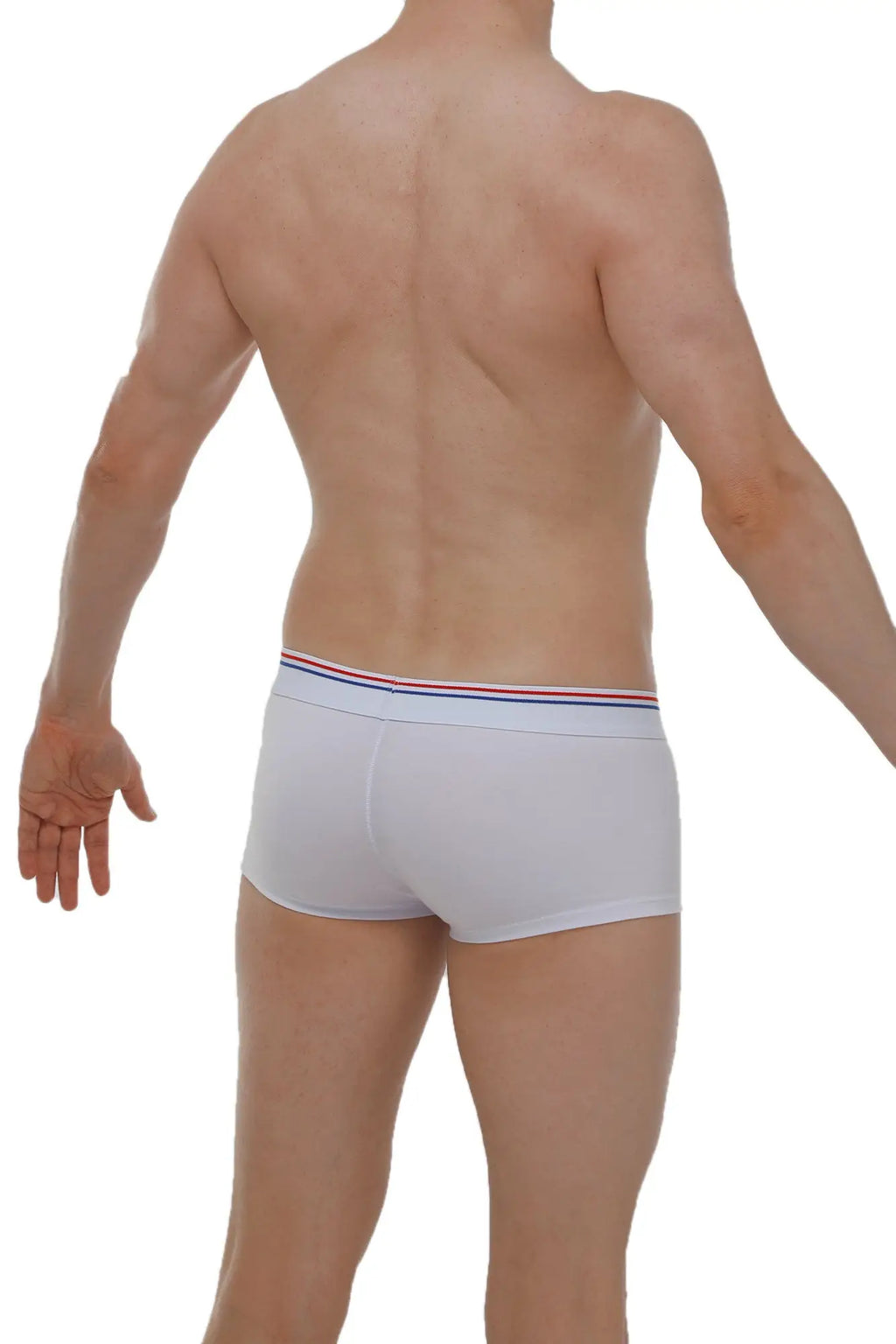 Petitq boxer linay modal white briefs with white fabric and red white and blue striped waistband for comfortable wear