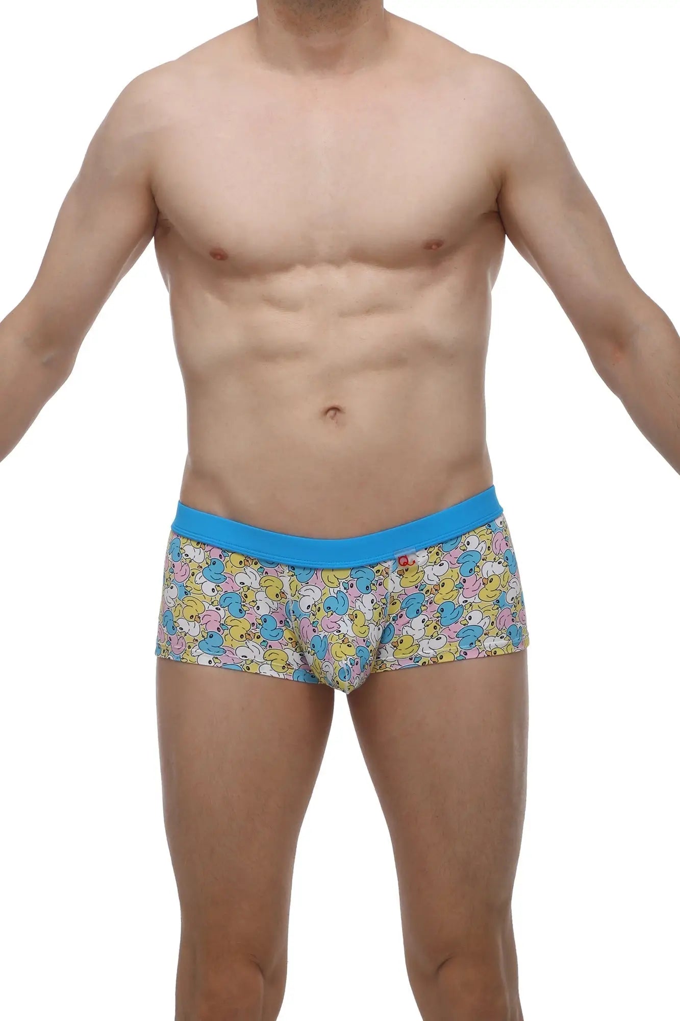 Blue-trimmed petitq boxer meljac duckies men’s briefs with pastel cartoon duck pattern on light background