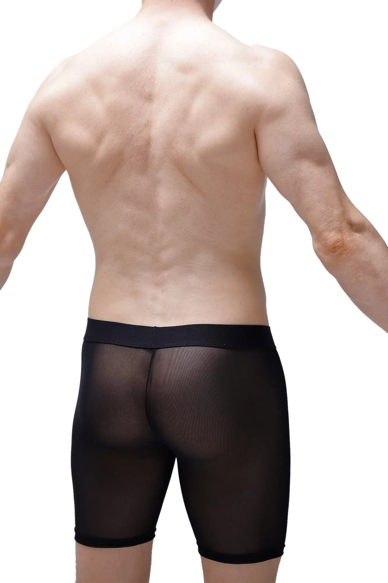Petitq boxer miniac black sheer mesh briefs with solid black waistband shown from the back side