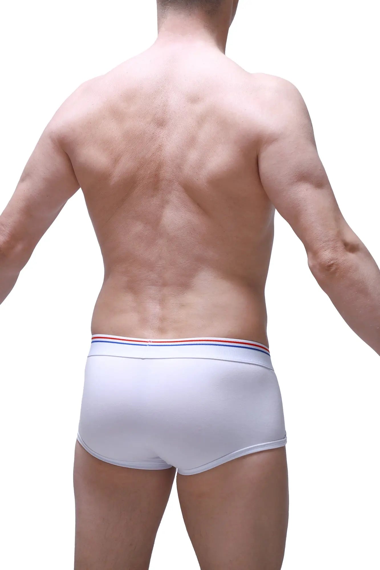 PetitQ boxer Morrier white briefs with red white and blue striped waistband for comfortable daily wear