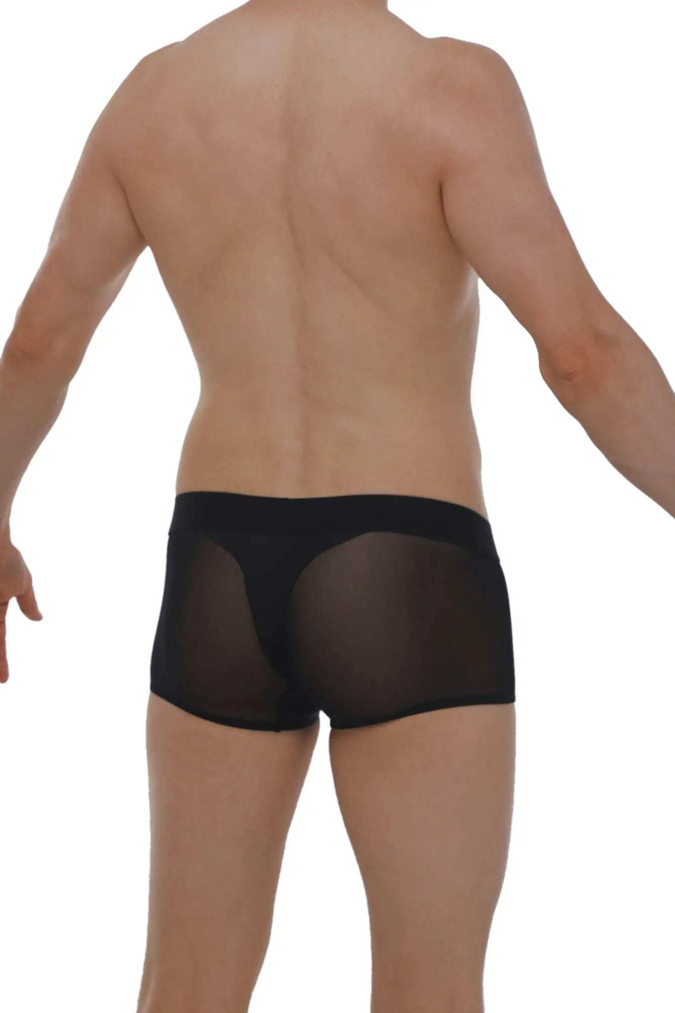 Black sheer mesh boxer briefs with a solid black waistband in a noth black design