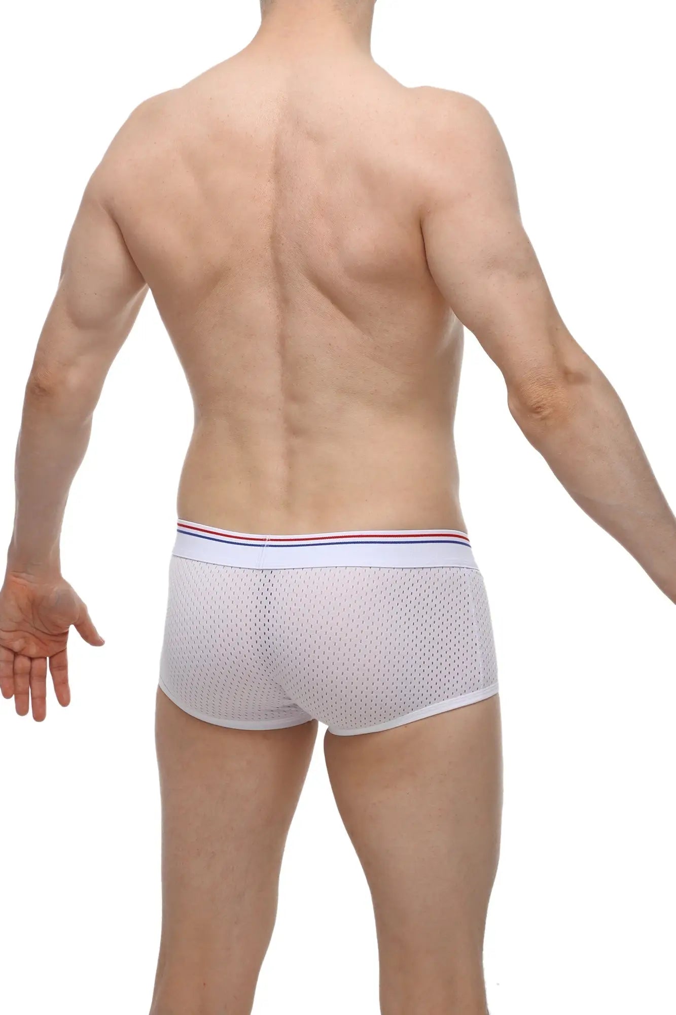 PetitQ boxer Olloix bee white mesh briefs with red white and blue striped waistband for breathable comfort