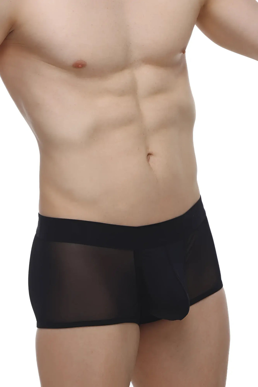 Black sheer mesh briefs with solid black waistband petitq boxer oncieux black front view