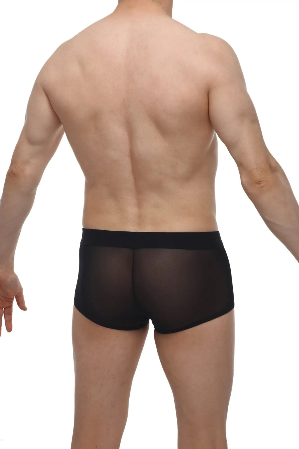 Black sheer mesh briefs with a solid black waistband petitq boxer oncieux black front view