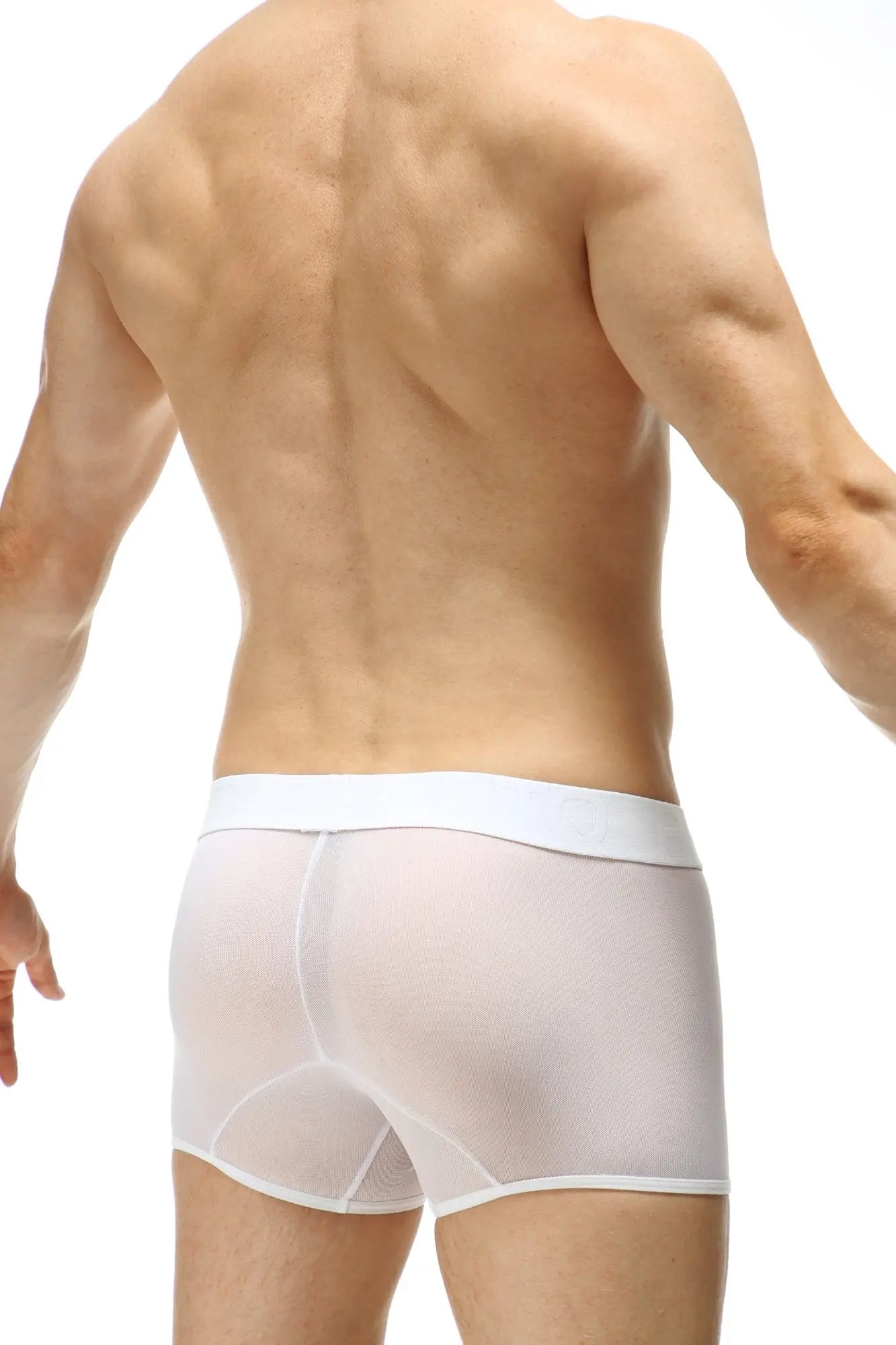 White sheer men’s boxer briefs with solid white waistband from petitq boxer percey stars collection