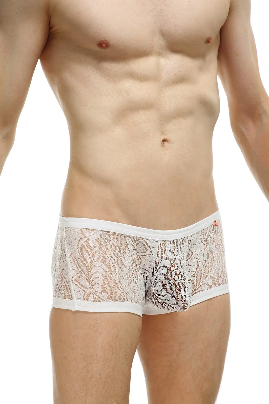 PetitQ boxer plouhac lace white men’s briefs with delicate floral patterns and a subtle sheen in white lace