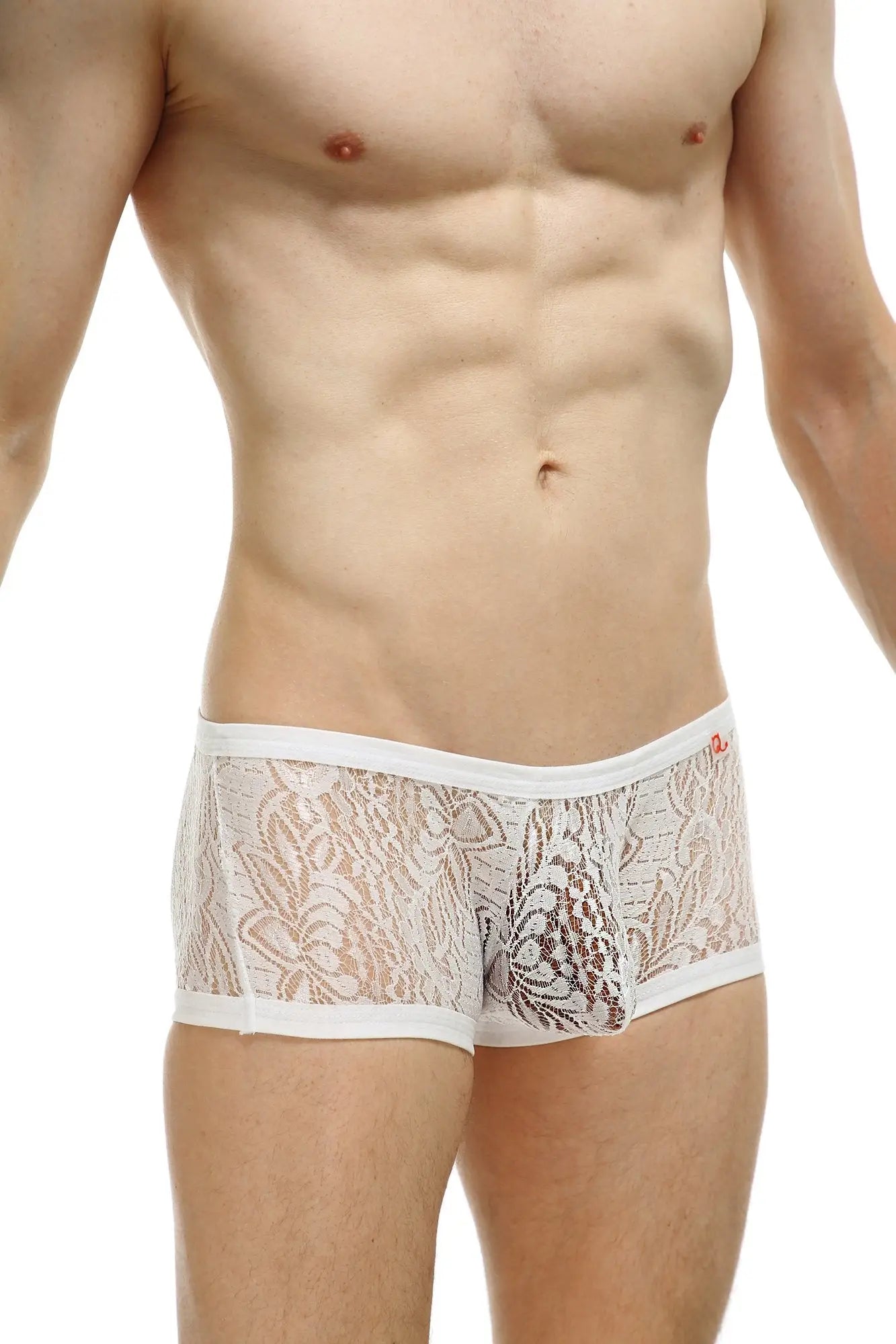 PetitQ boxer plouhac lace white men’s briefs with delicate floral patterns and a subtle sheen in white lace