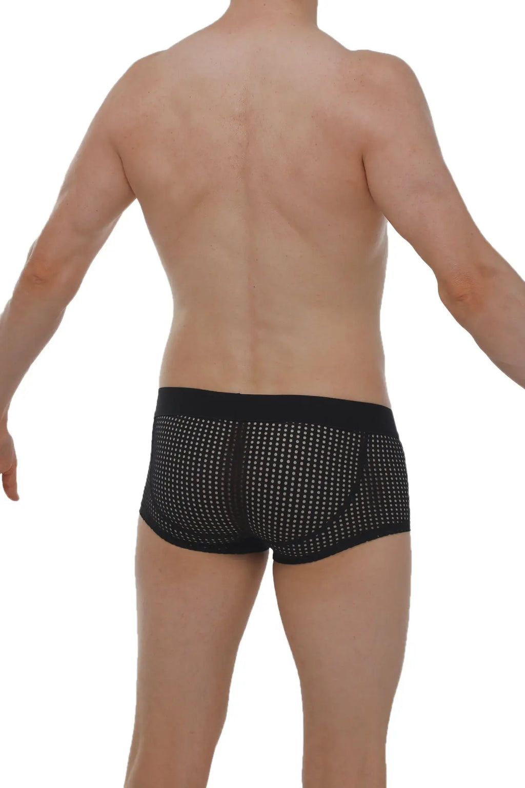 Black mesh boxer protruder durtol briefs with subtle white dot pattern and solid black waistband