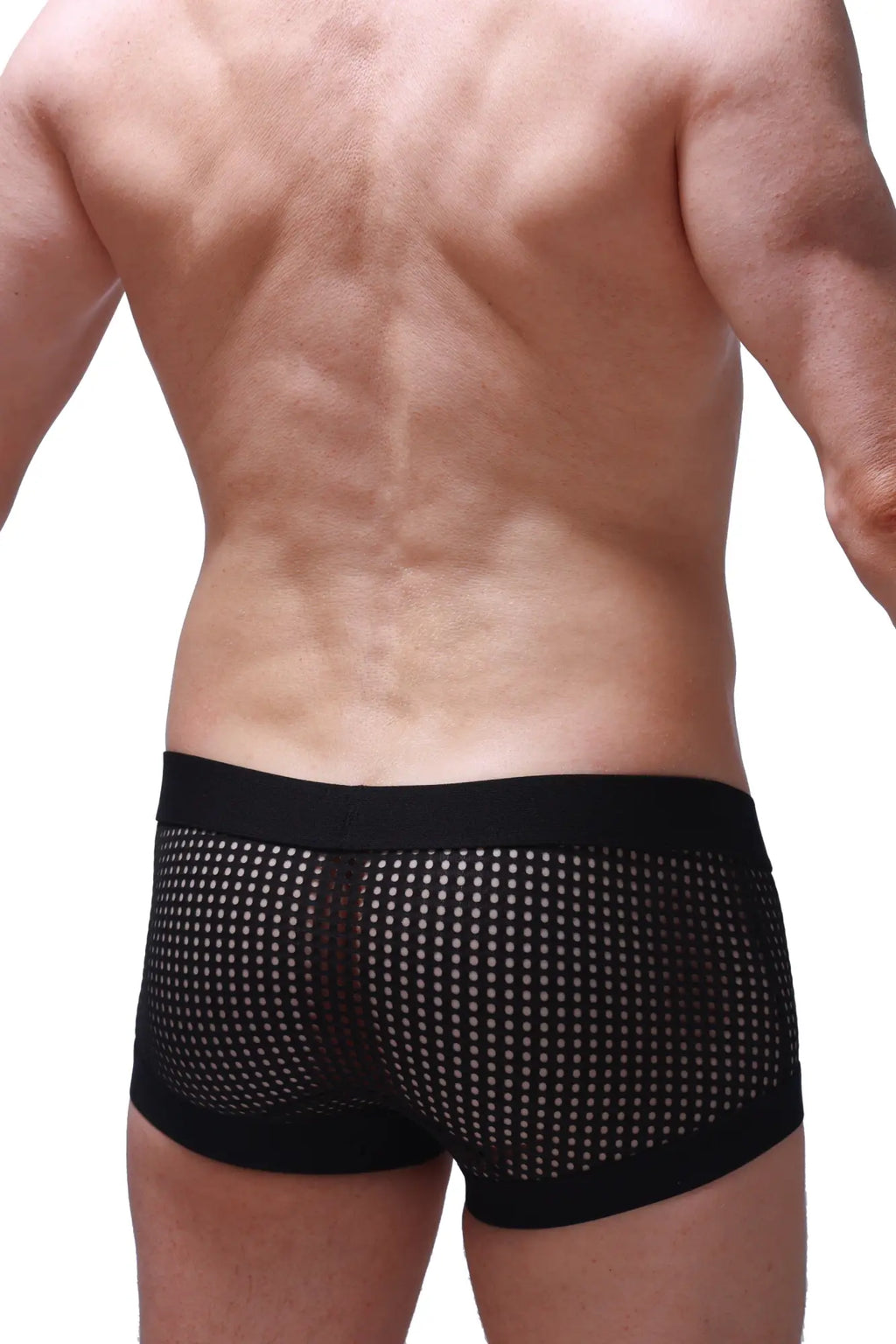 Black mesh briefs with solid black waistband and leg openings from PetitQ boxer rabol durtol collection